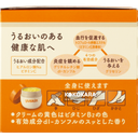 083.Yuskin 悠斯晶乳霜 120g (橘色)