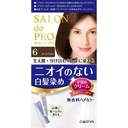 DARIYA 塔莉雅 Salon de Pro 沙龍級染髮劑 白髮染 6號 深棕色