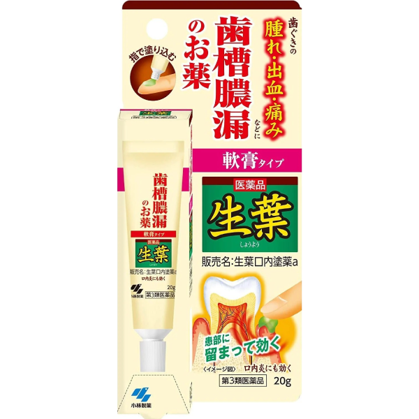 小林製藥 生葉口内塗藥 20g