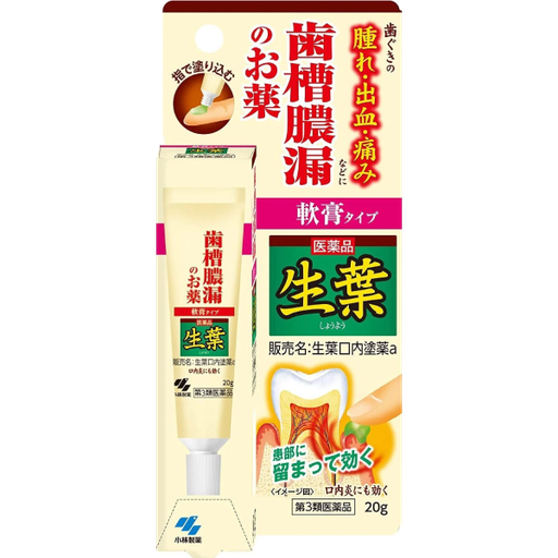 [小林製藥] 小林製藥 生葉口内塗藥 20g